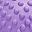 Lilac Purple