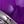 Dark Purple