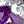 Light Purple