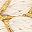 Ivory Gold