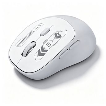 Dual Mode Bluetooth & 2.4G Wireless Silent Mouse,Right Hand Ergonomic 6 Buttons,Type-C Rechargeable