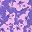 Deep Purple