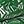 Green Banana Leaf