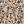 Light Khaki Floral