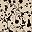 Khaki Printed