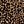 Leopard Print