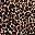Leopard Print