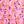 Pink Flower
