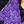 Black Purple