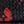 Black Red Pattern