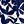 Navy Blue Floral