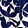 Navy Blue Floral