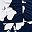 White Navy