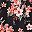 Black Peachblossom