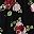 Midnight Red Rose