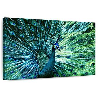 Elegant Peacock Wall Art