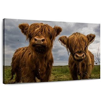 Baby Highland Cows Wall Art
