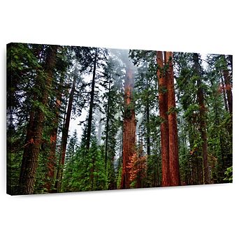 Vibrant Redwood Wall Art