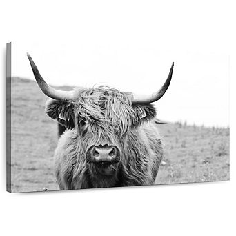 Solitary Highland Cow Wall Art