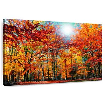 Autumn Season Beech Trees Wall Art