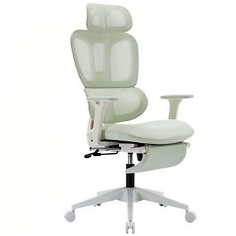Ergonomic Office Chair, with Adjustable Lumbar Support and Foot Rest, Home Office Desk Chair