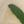 Green Leaves