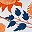 Orange Bloom
