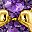 Gold Tone Feb
