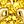 Gold Tone Nov