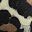 Beige Black Brown