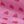 Pink 6inch Width