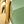 Gold Tone Aug