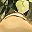 Gold Tone Aug
