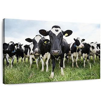 Holstein Cows Wall Art