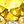 Gold Tone Nov