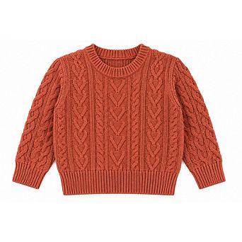 Toddler Boys Autumn Cable Knit Sweater