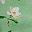 Green Print