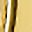 Gold Tone