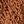 Cinnamon Stick