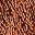 Cinnamon Stick