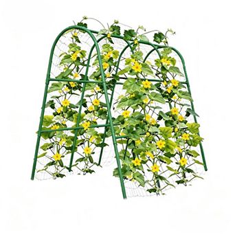 Heavy-Duty Metal Garden Arch Trellis
