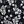 Black White Flowers