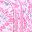 Cherry Blossom Pink