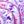 Light Orchid Purple