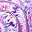 Light Orchid Purple