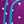 Sky Blue Purple