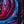Fuchsia Blue Black