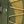 Olive Green Khaki