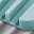 Grey Teal