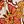 Ivory Tomato Mustard